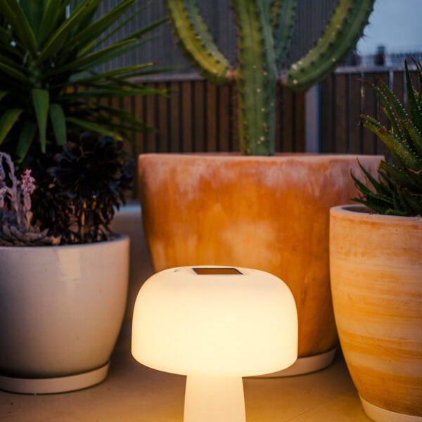 Goodnight Light toucan night light for children's bedtime ambiance
