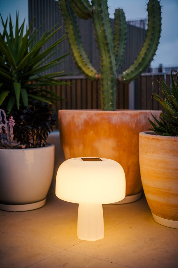 Goodnight Light toucan night light for children's bedtime ambiance